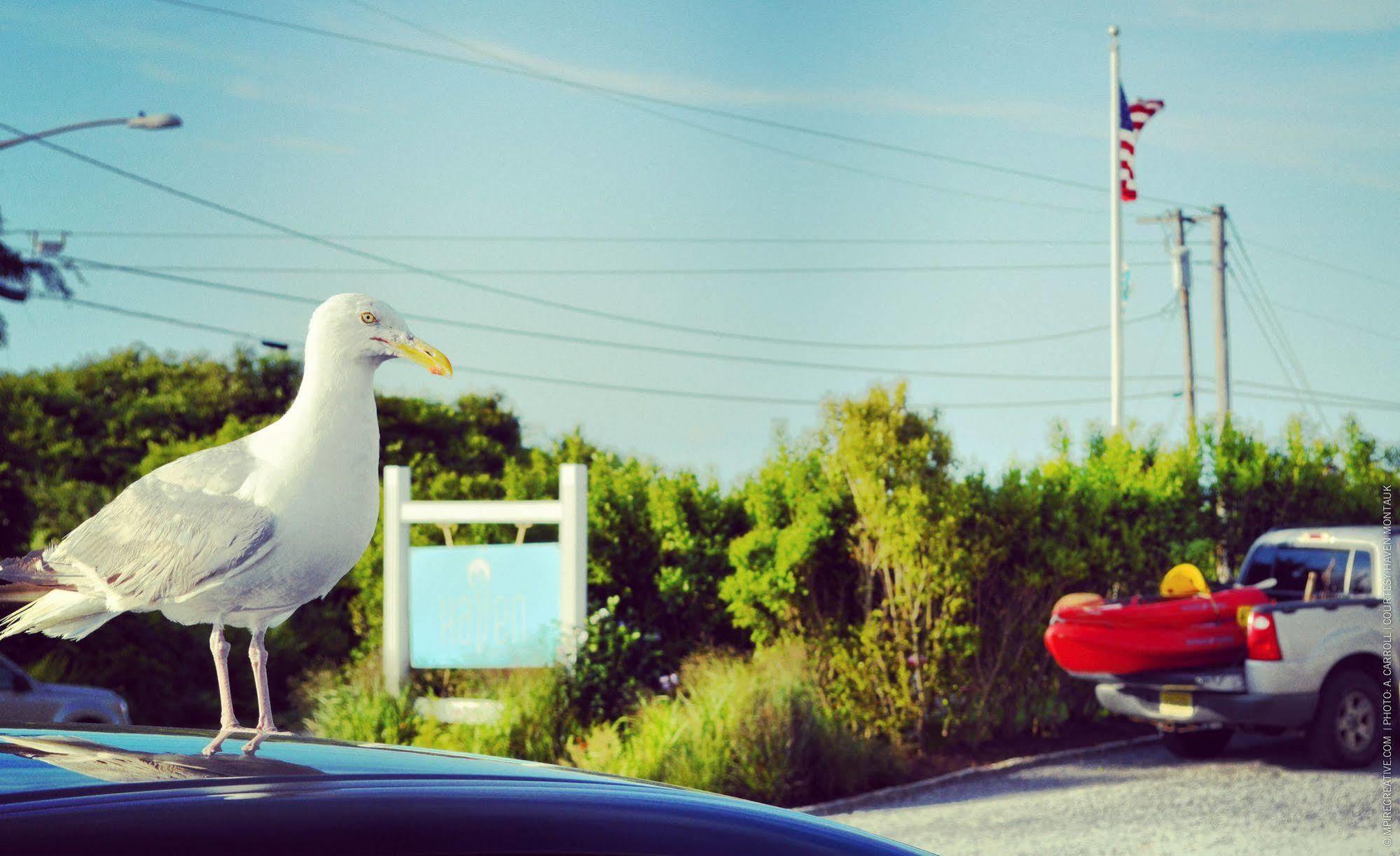 Haven Montauk Hotel ภายนอก รูปภาพ